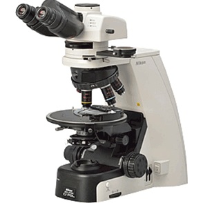 偏光显微镜图片